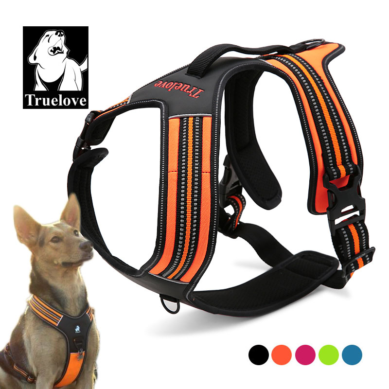 Outdoor Adventure Xl - Coleira Peitoral Truelove Sport de Nylon