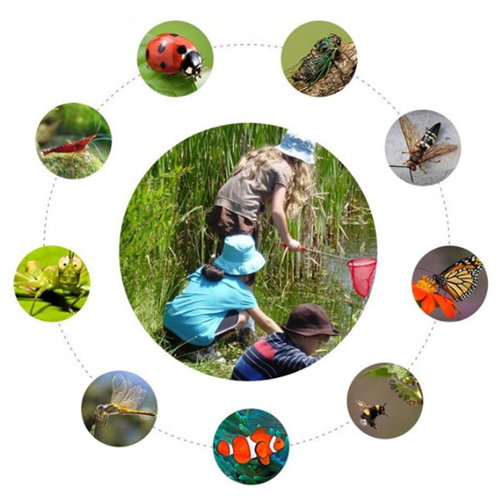 Rede de Pesca Telescópica para - Outdoor Adventure With Kids avaliação e preço